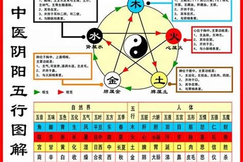 自己 五行 屬性|【怎麼看自己的屬性】怎麼準確預測自己的屬性？一次搞懂五行體。